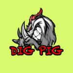 Dig Pig Products Inc